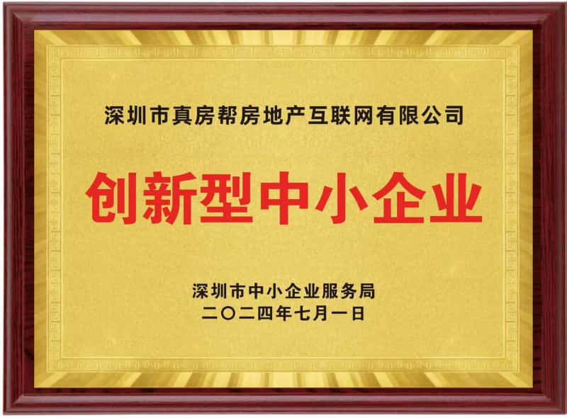 咚咚租创新型中小企业资质